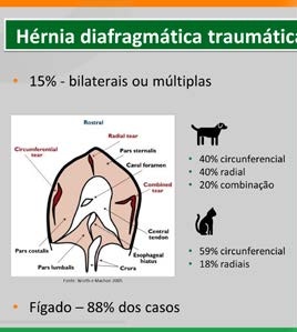 Tipos de ruptura diafragmática