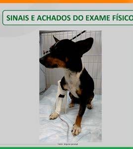 Paciente em posição ortopneica