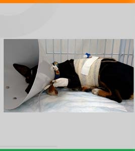Paciente em recuperação pós-operatória